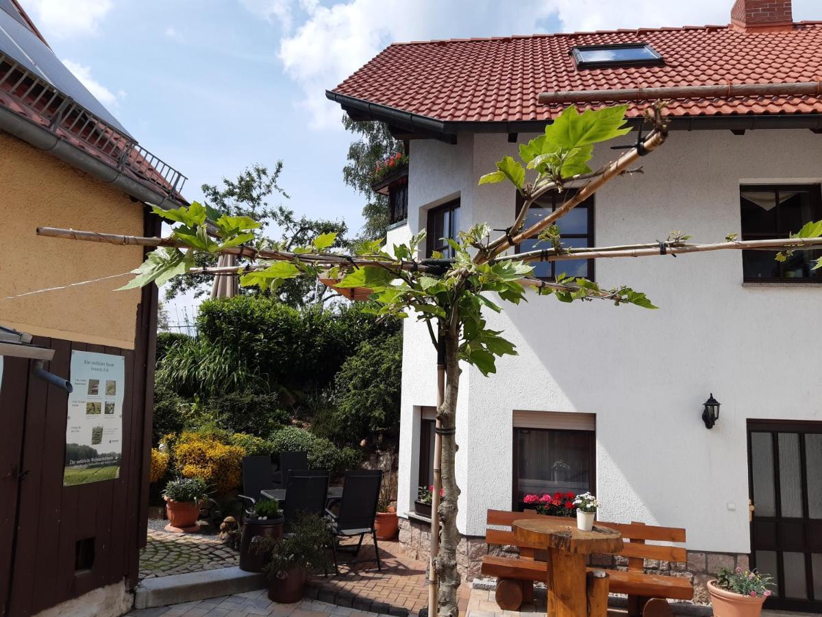 Ferienwohnung Reissmann Heinsdorfergrund Exteriör bild