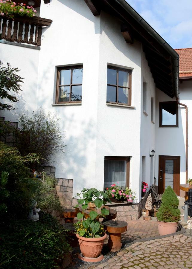 Ferienwohnung Reissmann Heinsdorfergrund Exteriör bild